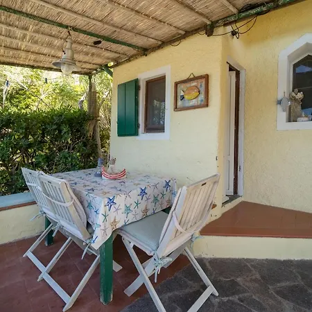 Agave Direclty On The - Goelba Apartment Portoferraio