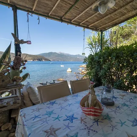 Agave Direclty On The - Goelba Apartment Portoferraio