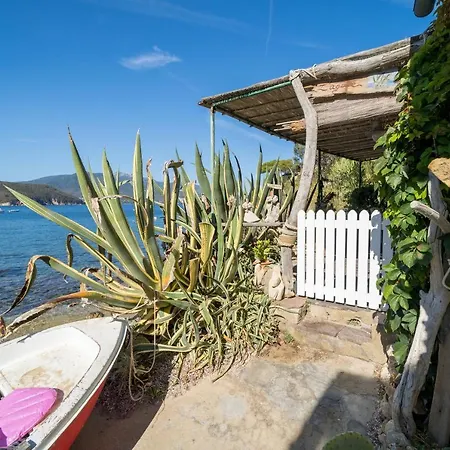 Apartment Agave Direclty On The - Goelba