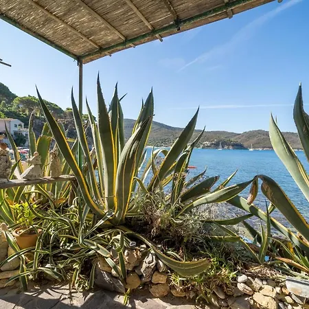 Agave Direclty On The - Goelba * Portoferraio