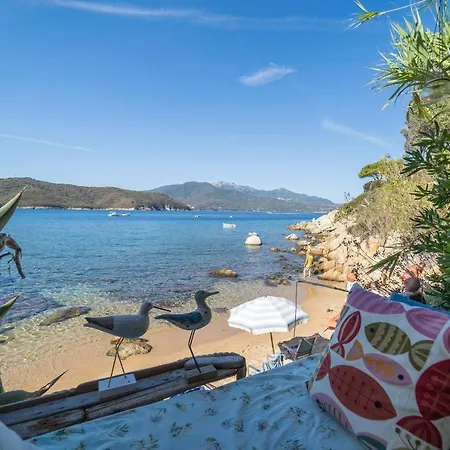 Agave Direclty On The - Goelba بورتوفيرّايو
